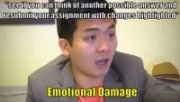 emotional damage