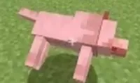 minecraft dog dying