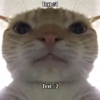 Staring Cat/Gusic Meme