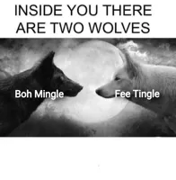 Inside you there are two wolves