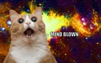 Mind Blown cat