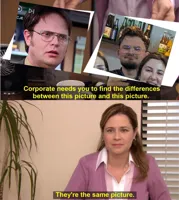 They're The Same Picture