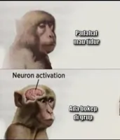 neuron activation