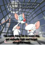 Pinky and the brain