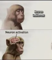neuron activation