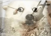 PTSD dog