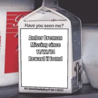 Missing Person