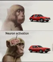 neuron activation