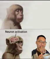 neuron activation