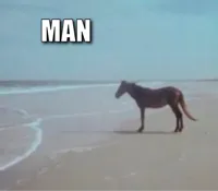 Man Horse Water 