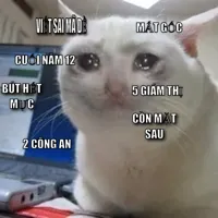 Crying cat