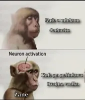 neuron activation