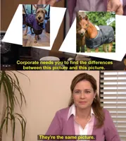 corporate wants you to find the difference