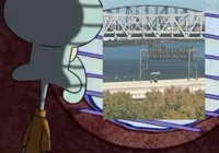 squidward window