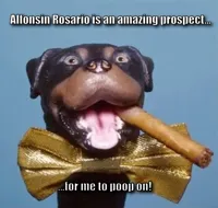 Triumph the Insult Comic Dog