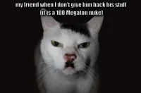 Hitler Cat