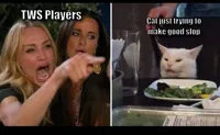 Woman and cat meme