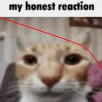 My Honest Reaction