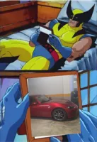 Wolverine crush 
