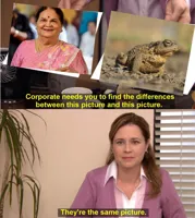 They're The Same Picture