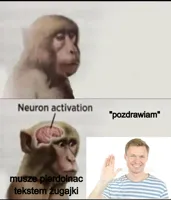 neuron activation