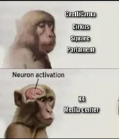 neuron activation