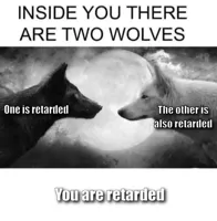 Inside you there are two wolves