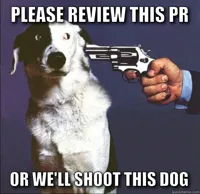 Shoot Dog