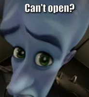 Megamind no bitches