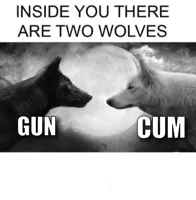 Inside you there are two wolves