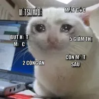 Crying cat