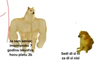 Swole Doge vs Cheems