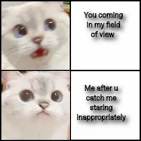 cute white cat template