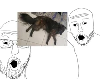 Wojak pointing
