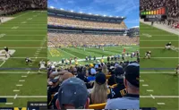 stadium pulse