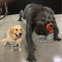 Two dog meme