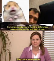 They're The Same Picture