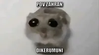 Sad Hamster / Hamster With Big Eyes / Crying Hamster