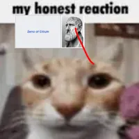My Honest Reaction
