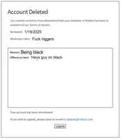 banned from ROBLOX