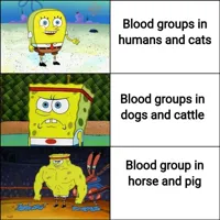 Stronk spongebob