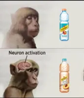 neuron activation
