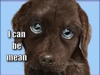 Puppy dog eyes