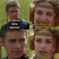 Anakin Padme 4 Panel