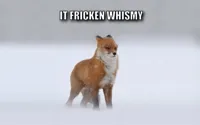 wimdy