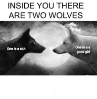 Inside you there are two wolves