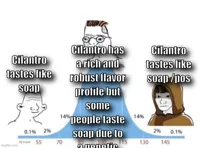 bell curve