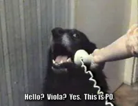 Dog Phone