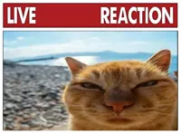 Live reaction