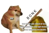 Doge bonk